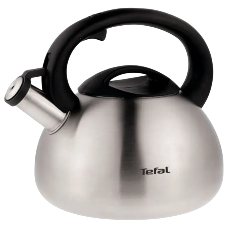 Ceainic Tefal N4180217, 2,5L, Oțel inoxidabil