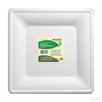 Farfurii biodegradabila din trestie de zahar plata patrata 200mm  4buc  BIO-P200-04