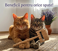 Aparat de masaj corporal din lemn cu mâner.