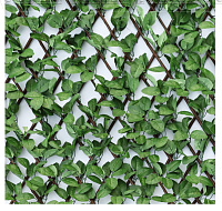 Gard decorativ Willow-Rose 1*2m