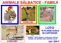 AN-7 Joc Loto Animale sălbatice