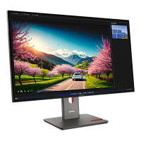 32" Monitor Gaming Lenovo ThinkVision P32UD-40, IPS 3840x2160 4K UHD, Negru