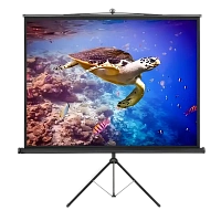 Ecran cu stativ Reflecta Crystal-Line, 1:1