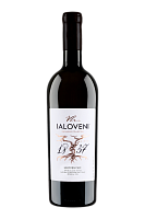 Ialoveni Sec matur nou
