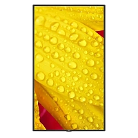 Display NEC MultiSync M651-2, 65", Negru