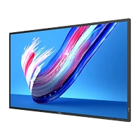Display Philips 55BDL3650Q, 55", Negru