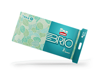 BRIO Hirtie igienica 3S 10 ROLE, 600g., 120 foi, 6 buc in bax