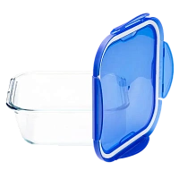 Tava de copt Pyrex 286PG00, Transparent