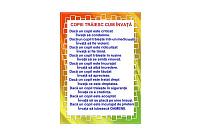 D17-C22 Citat (A3 laminat)
