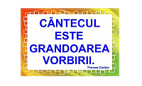 D17-C29 Citat (A3 laminat)