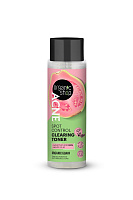 Organic Shop Acne Loțiune tonică p/u curățarea petelor 200ml