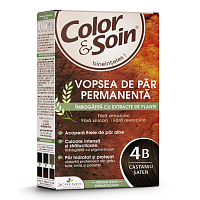 Vopsea par Chatain Brownie (4B)