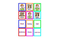 OM-9 Joc Loto Части тела