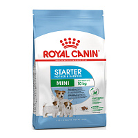 ROYAL CANIN Mini Starter 1 kg, hrană uscată pentru câini adulți de rasă mică în perioada de gestație și lactație