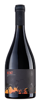 Gogu Instinct Cabernet Sauvignon