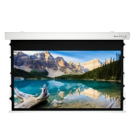 Ecran electric Sopar 53351ZT-RN, 176", 16:9