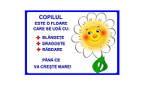 D17-C84 Citat (A3 laminat)