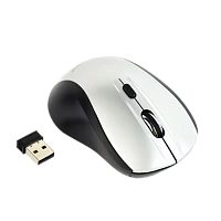 Mouse Wireless Gembird MUSW-4B-02-BS, Negru/Argintiu