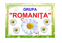D9-48.2 Romaniţa (A4)