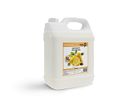 Detergent spălat vase Lemon 5L