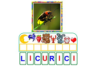 L-35 Joc cu cleşte Scrie cuvântul după 1 literă -  Insecte