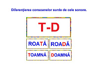 L-146 Diferenţierea consoanelor surde de cele sonore