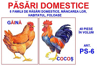 PS-6 Joc Păsări domestice - în volum