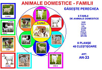 AN-33 Joc cu cleşte Animale domestice