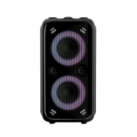 Portable Audio System F&D PA200