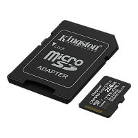 Card de Memorie Kingston Canvas Select Plus, 256GB (SDCS3/256GB)