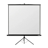 Ecran cu stativ Reflecta Crystal-Line, 1:1